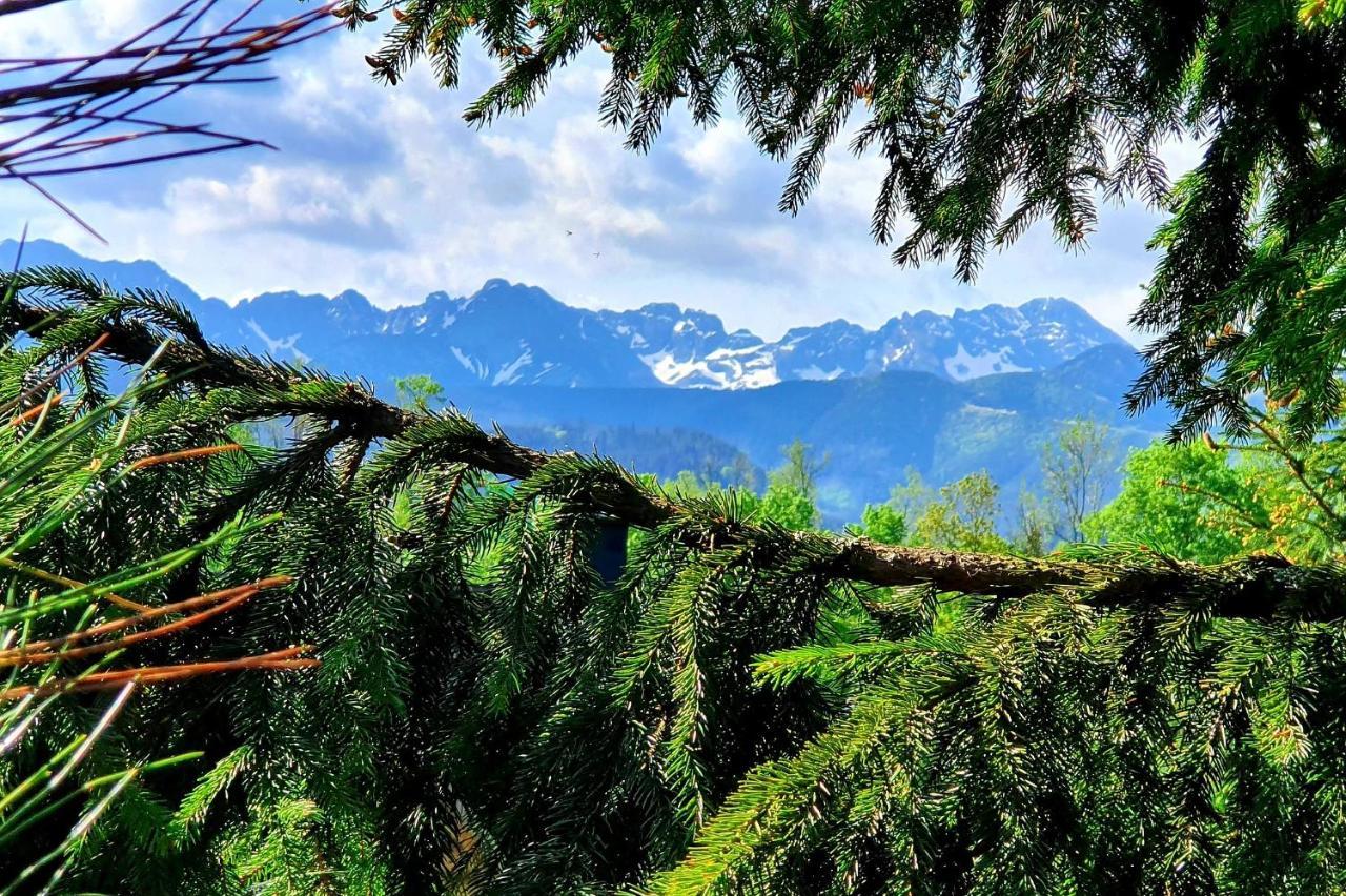 Tatrzanska Rezydencja Pod Brzyzkiem Zakopane Dış mekan fotoğraf