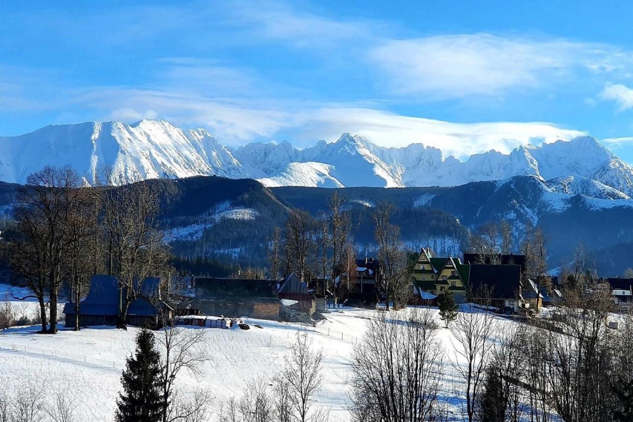 Tatrzanska Rezydencja Pod Brzyzkiem Zakopane Dış mekan fotoğraf