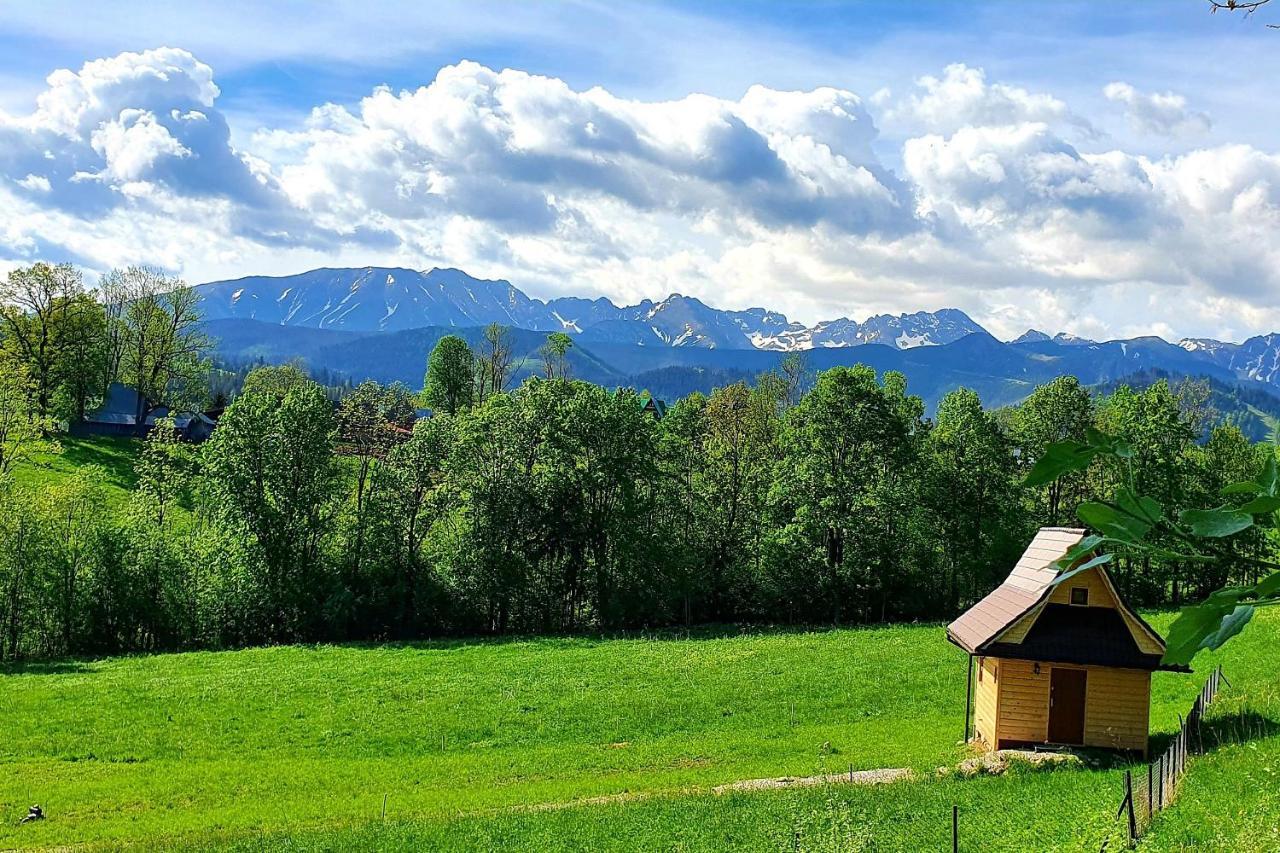 Tatrzanska Rezydencja Pod Brzyzkiem Zakopane Dış mekan fotoğraf