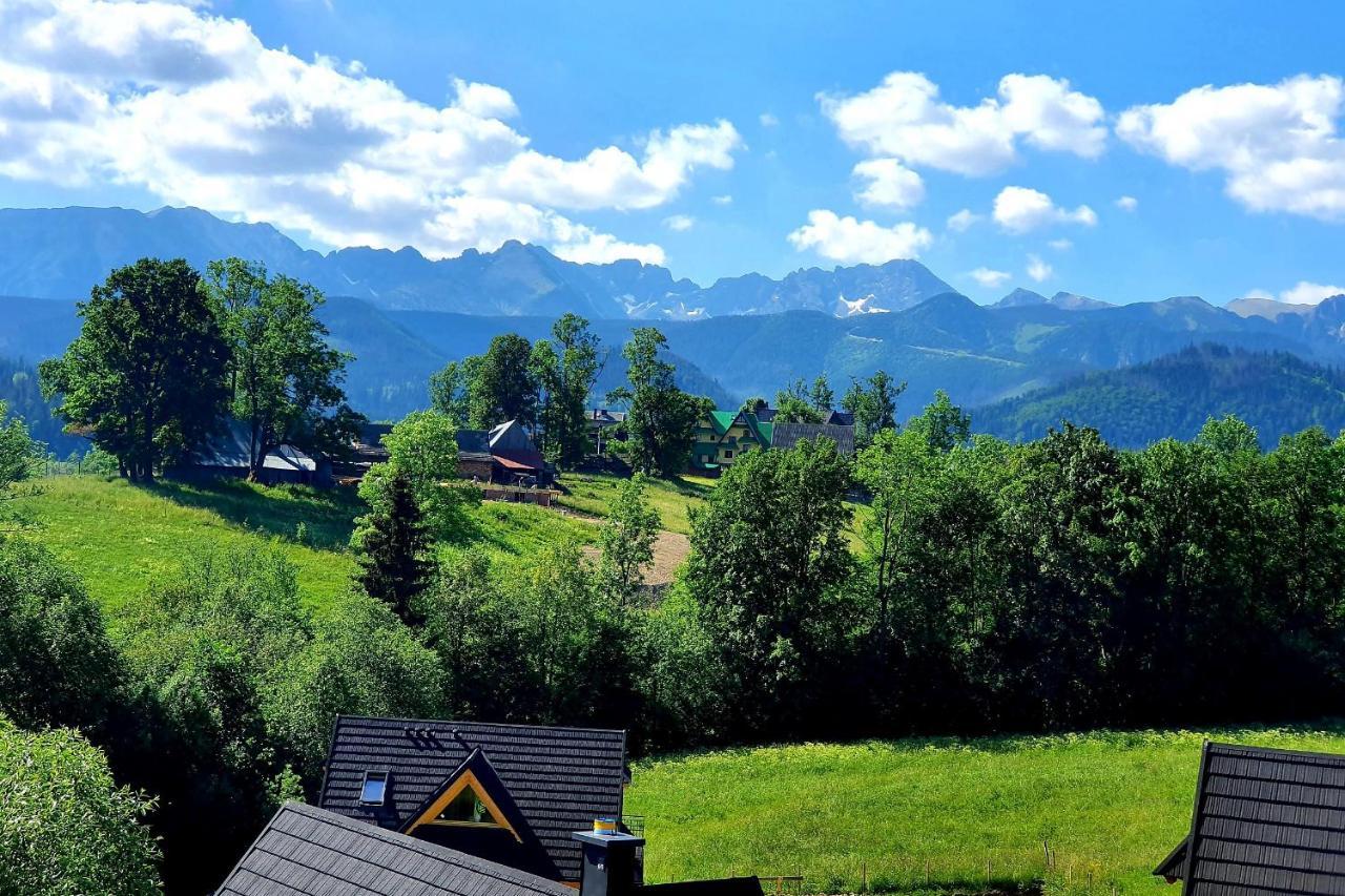 Tatrzanska Rezydencja Pod Brzyzkiem Zakopane Dış mekan fotoğraf